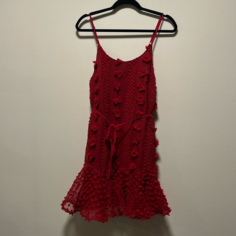 ENTRO (NWT) Anthropologie Red Floral Appliqué Mini Dress, Size M